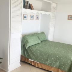 #3 Eastry Gardens - Cozy 1BR Studio w Ocean View