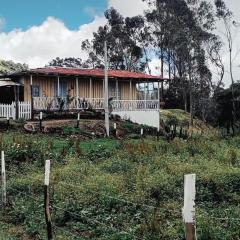 Refugio Paramo Trek Murillo