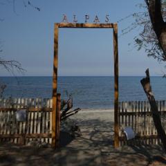 Alpas Oasis