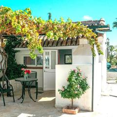 Tiny house 12m2 in holiday park with 55 m2 pool