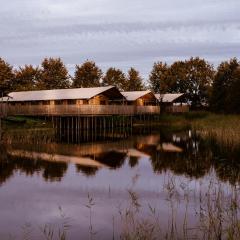 Luxe glamping tent