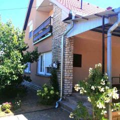 Holiday home in Balatonföldvar 36529
