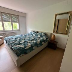 Nice quiet room, 15 min from downtown