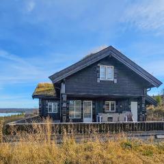 Gorgeous Home In Gol With Sauna