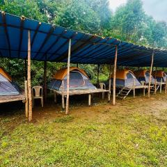 Paradise Tent Stay Vattavada Munnar