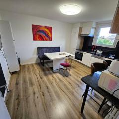 Butthouse Apartments
