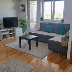 Apartman 442