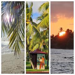 TI OASIS Dominica - Piscine et Plage à P&Vac Village-Club, 1 chambre 1 salon