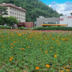 Juwang Mt Oncheon Tourist Hotel