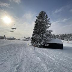 Panorama Krvavec Ski-in, Ski-out