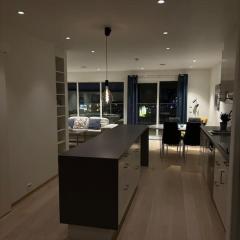 Toppleilighet min 2 dager leie