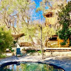 La Casa entre los Árboles en el Valle de Elqui Montegrande