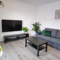 SALAN Apartman NATAL