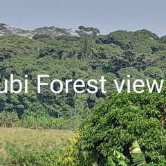 Kisubi forest view flat