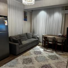 Cop 29 Baku Azerbaijan Home MDV