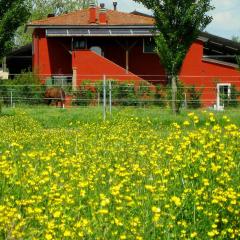 Agriturismo Adriano Pedretti