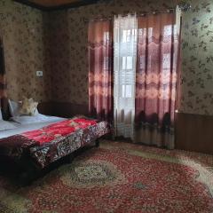 Hotel Wazir Palace
