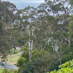 Tathra Views
