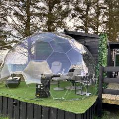 Glamping Domes