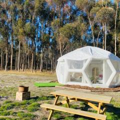 Coonawarra Hampton Bubble 5