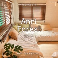 Anri Forest