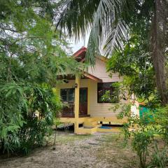 Cozy house near the sea