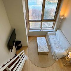 Comfortable Duplex House with City Lake View #SeokchonLakeView #LotteWorld