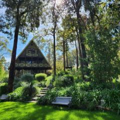 The Lavender Patch
