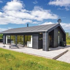 Three-Bedroom Holiday Home In Grenaa