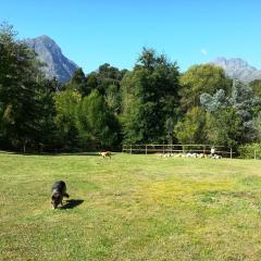 Glasshouse In The Winelands