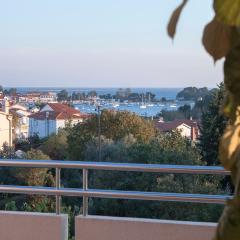 Apartments Ceja near sea