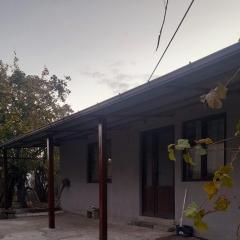 Guesthouse Dedoplistskaro