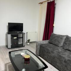 Apartman Gajić
