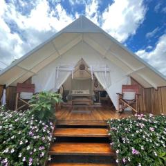 Monteverde Alas Glamping