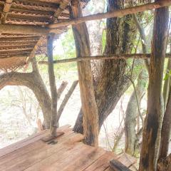 Habarana Wildwood Treehouse