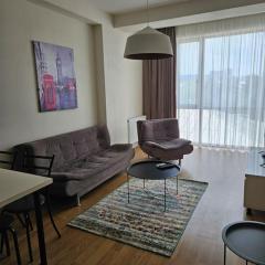 flat on tsereteli 5