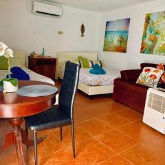 Ventana Va101 at Arecibo 681 Ocean Drive
