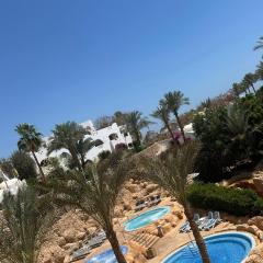 Domina Coral Bay