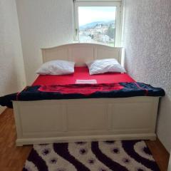 1 Beautiful Room in an 3-Bed-Room-Appart