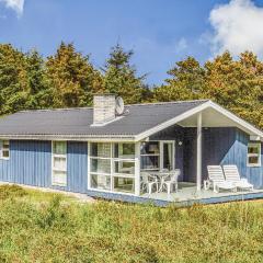 Holiday Home Lyngvejen Ringkøbing Xii