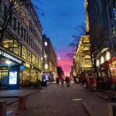 HelsinkiStudioCentralStationatYourDoorstep