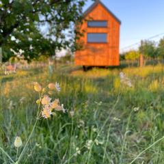 Tiny house Pálava