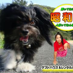Amami Guest House showa-so