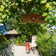Wildflow jungle yoga safari and homestay
