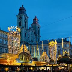 LINZ CITY CENTER - Historisches Apartment & Refugium