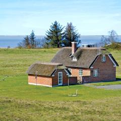 Holiday Home Syrenvej Skjern Iii
