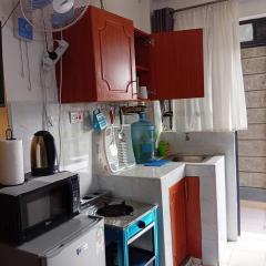 Katani road syokimau tumaini apartment furnished studio