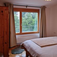 APARTMA JEREBIKA ŠT. 20
