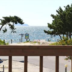 Silver Glowing Sea Pension