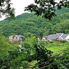 Inje Gombaeryeong Evergreen Pension